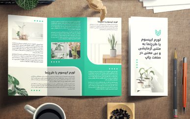 بروشور گل و گیاه سه لت لایه باز | plants tri-fold brochure